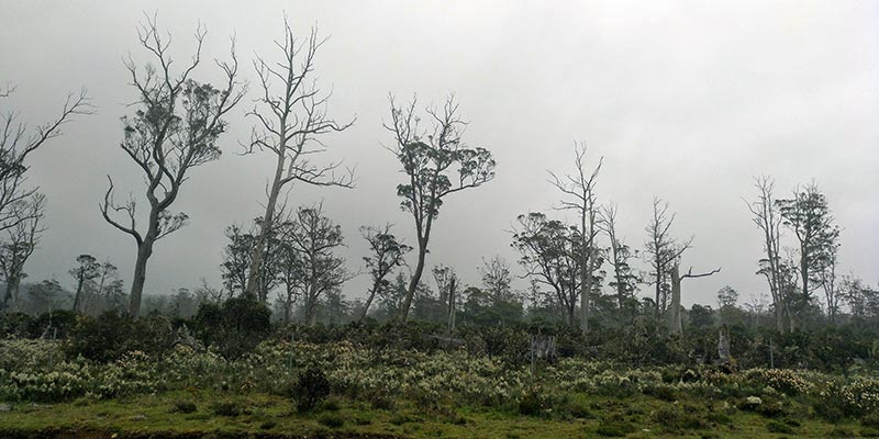 cradle-mountain