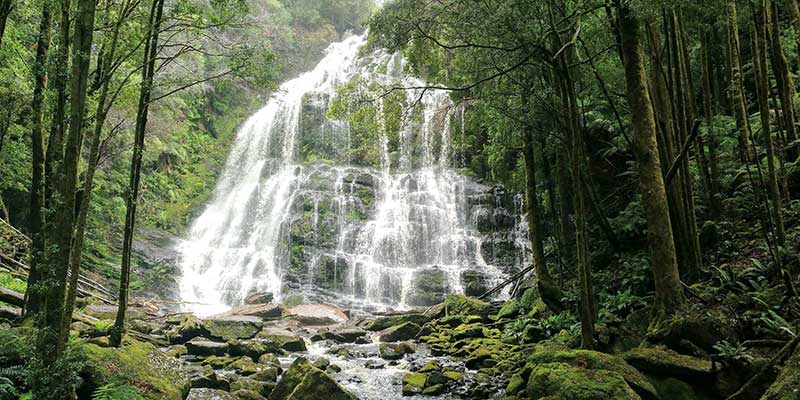 nelson-falls