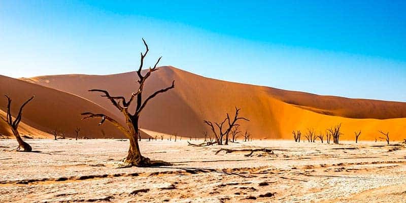 namiabia - mejores viajes en autocaravana
